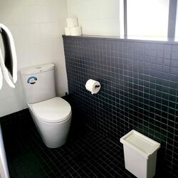 Holland Rise (D10), Apartment #625043741